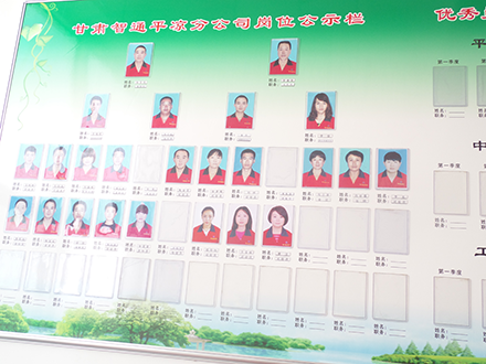 2025澳门原料网1688