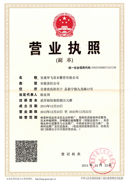 2025澳门原料网1688