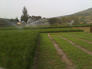 2025澳门原料网1688