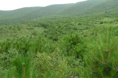 2025澳门原料网1688